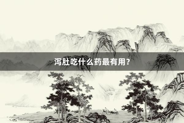 泻肚吃什么药最有用？